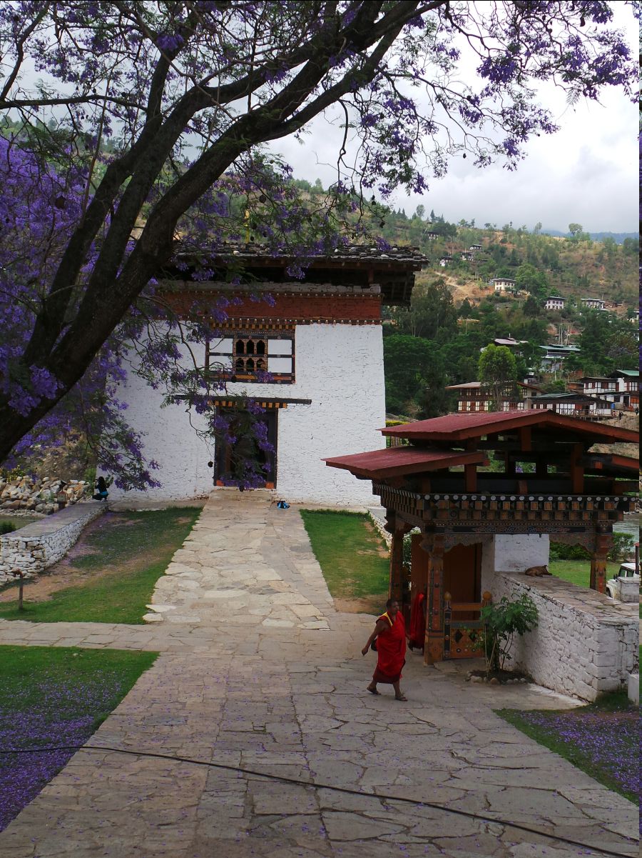 Punakha Dzong49